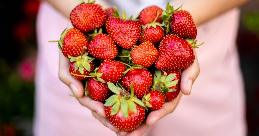 Sweet News: 12% Off Strawberry Gifts!