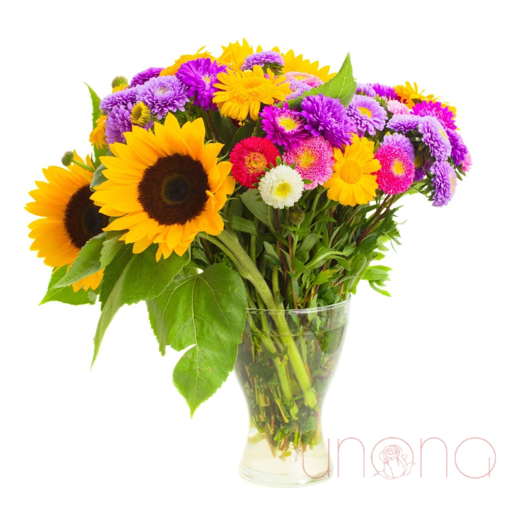 Asters: The Flowers of September – Glorious Selection in Ukraine