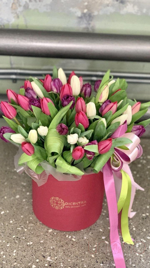 Box of Tulips Beauty Queen | Srclnhutes.