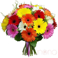 Fabulous Gerberas Bouquet | Srclnhutes.