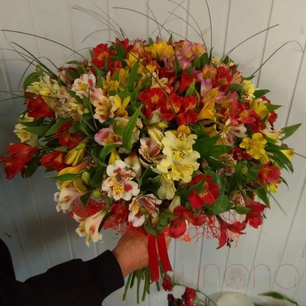 Lovely Rainbow Bouquet | Srclnhutes.