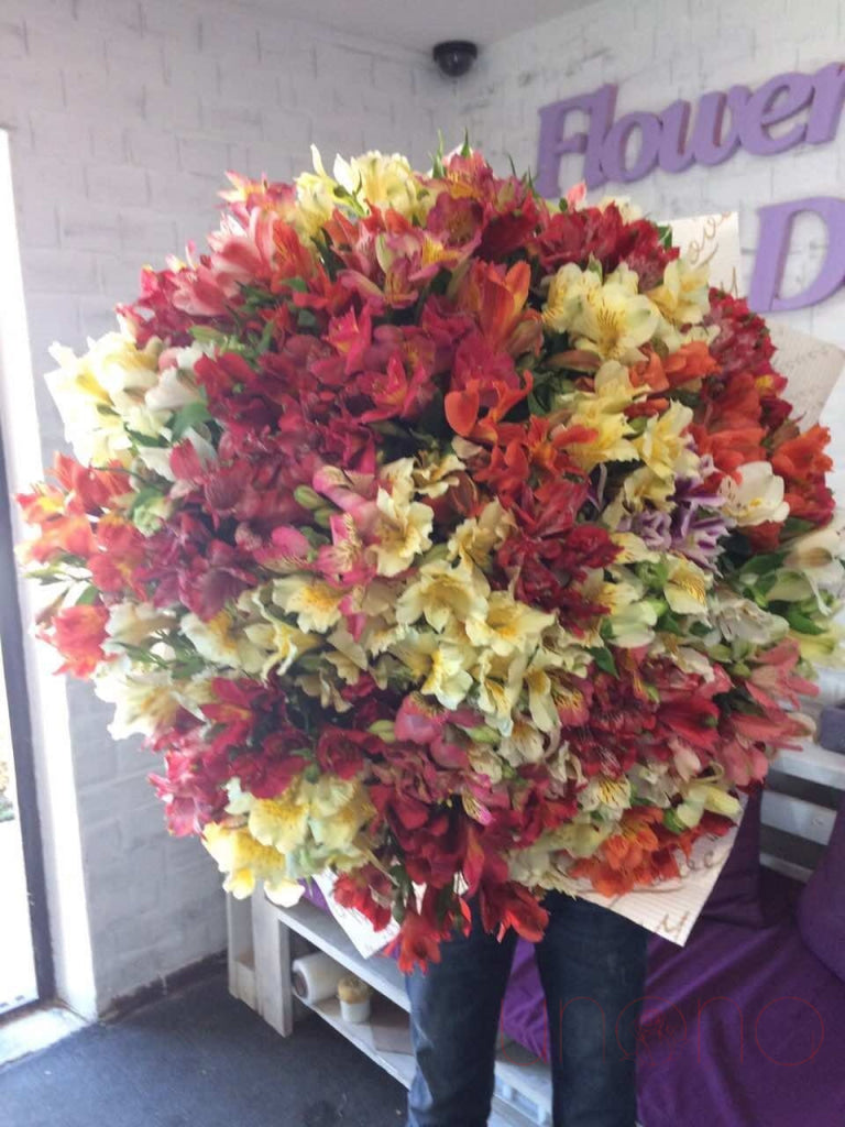 Luxurious Alstroemerias Bouquet | Srclnhutes.