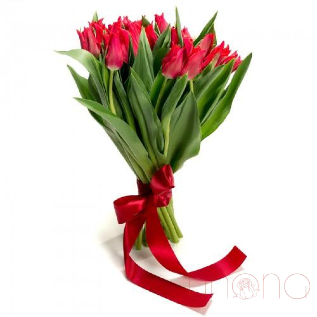 Magnificent Tulips Bouquet | Srclnhutes.
