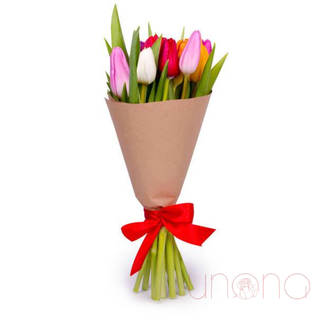 Rainbow Tulips Bouquet | Srclnhutes.