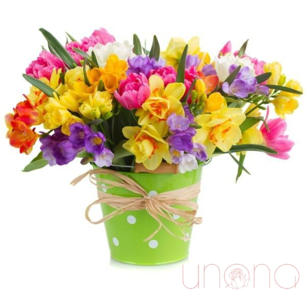 Spring Rainbow Bouquet | Srclnhutes.