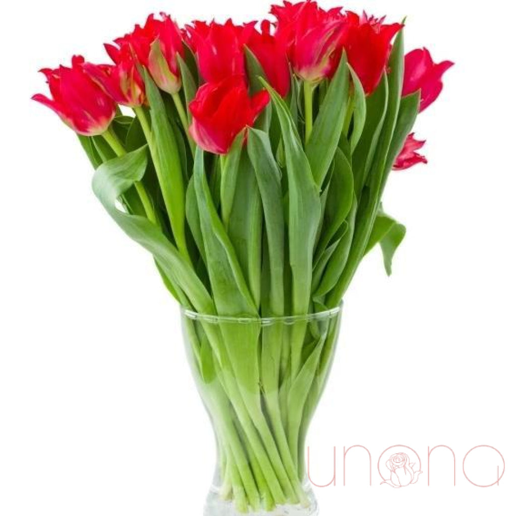 Tempting Tulips Bouquet | Srclnhutes.