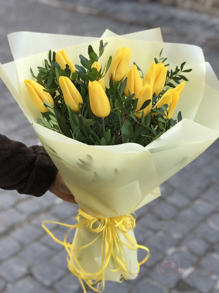 Wonderful Tulips Bouquet | Srclnhutes.
