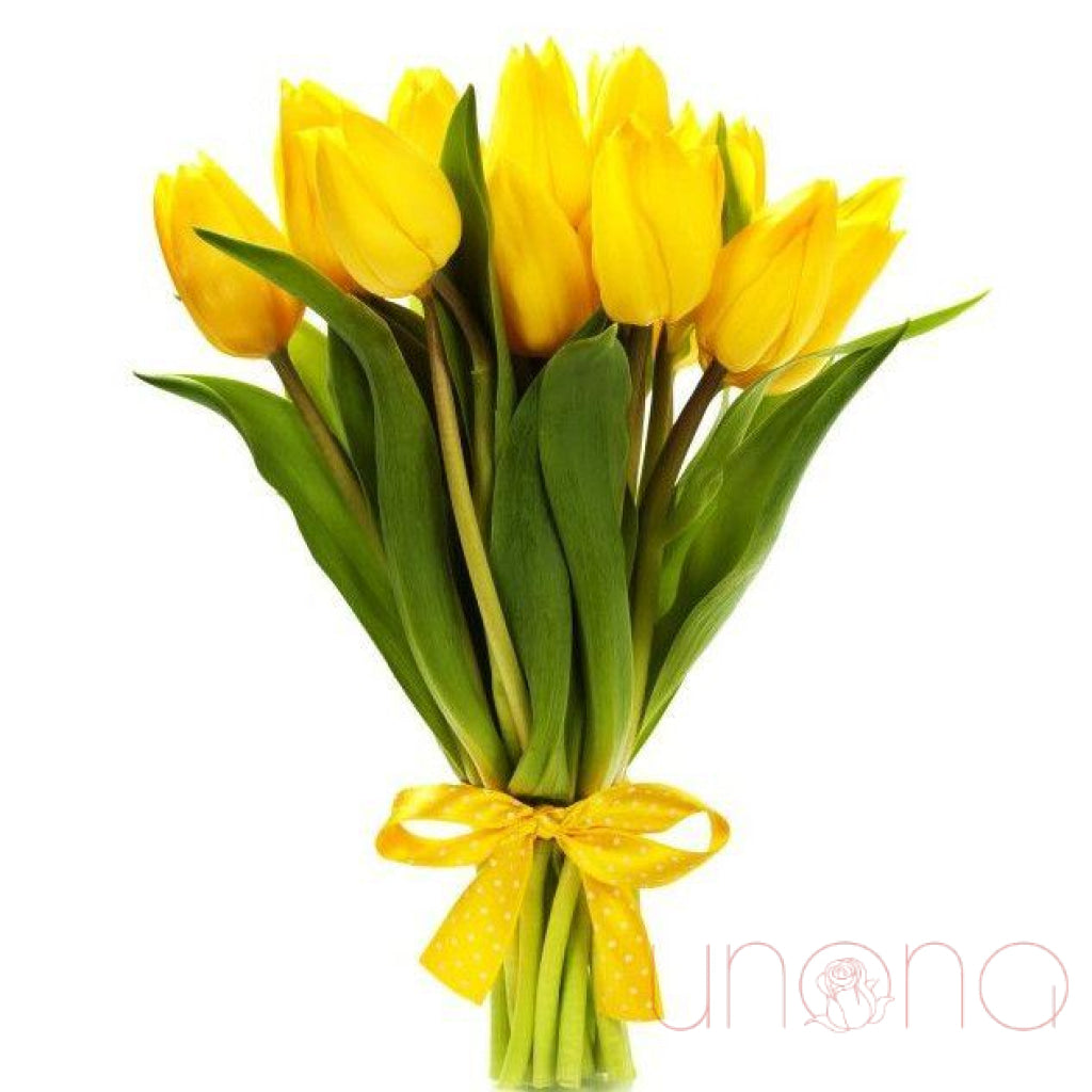Wonderful Tulips Bouquet | Srclnhutes.